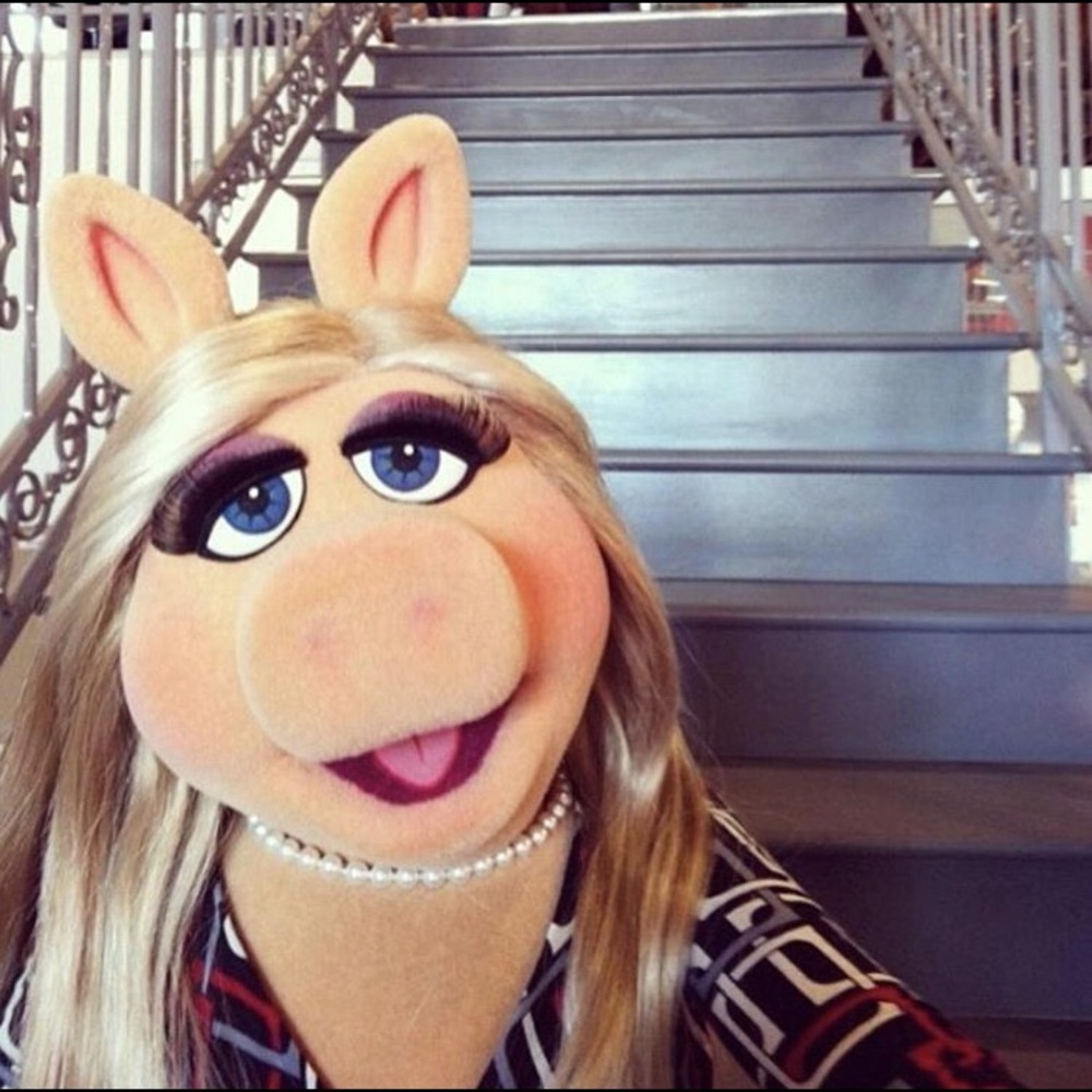 Meet your Posher, Mia